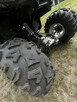 Quad Polar 250cc - 7