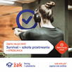 zawód w rok! - 2