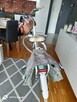 Sprzedam rower miejski Unibike Citizen - 6