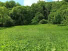 Działka rolno - leśna nad rzeką na Pogórzu Dynowskim - 7