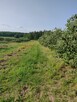 Działka rolna przy lesie, blisko Grójec - 3