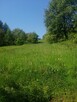 Sprzedam działkę - 3