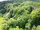 Działka rolno - leśna nad rzeką na Pogórzu Dynowskim - 5