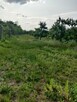 Działka rolna przy lesie, blisko Grójec - 4