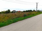 Działka budowlana Zaborze gm. Morawica - 1