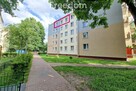 Ładne 3 pokojowe mieszkanie obok parku i szkoły - 13