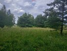 Działka leśno-rolna, Ruda, Tarczyn,blisko S7 - 3