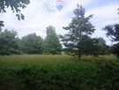Działka leśno-rolna, Ruda, Tarczyn,blisko S7 - 4