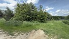 Działka budowlana Piszkawa gm. Oleśnica - 2
