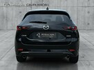 Salon Polska, Serwis ASO, Mazda Grupa Wróbel - 6