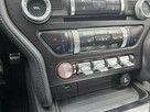 Ford Mustang - 10