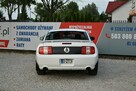 Ford Mustang GT 4.6 V8 305KM Manual 2006r. Klima TEMPOMAT 17" ZADBANY Polecam - 5