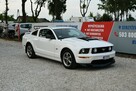Ford Mustang GT 4.6 V8 305KM Manual 2006r. Klima TEMPOMAT 17" ZADBANY Polecam - 8