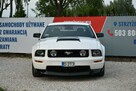 Ford Mustang GT 4.6 V8 305KM Manual 2006r. Klima TEMPOMAT 17" ZADBANY Polecam - 9