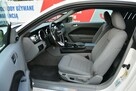Ford Mustang GT 4.6 V8 305KM Manual 2006r. Klima TEMPOMAT 17" ZADBANY Polecam - 15