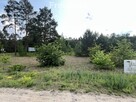 Działka w sąsiedztwie lasu Górsk/Czarne Błoto - 2