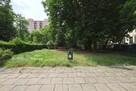 Mieszkanie Łódź gm. Łódź-Śródmieście Śródmieście, Piotrkowska - 5