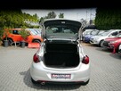 Opel Astra 1.4mpi Xenon Stan b.dobry 100%bezwypadkowy z Niemiec Gwarancja 12mcy - 13