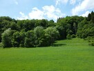 Działka rolno - leśna nad rzeką na Pogórzu Dynowskim - 4