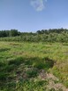 Działka rolna przy lesie, blisko Grójec - 1