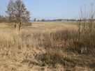 Nieruchomość gruntowa niezabudowana od syndyka - Gutków 430 - 2