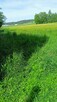 Sprzedam działkę budowlaną w Pasturce - 3
