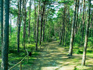 Unikatowy domek z dużą działką 900m od morza w Naturze 2000 - 15