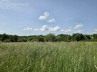 Działka rolna Wójtowa gm. Lipinki - 5