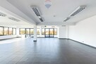 Świetny lokal w topowej lokalizacji – Nowy Targ - 8