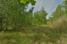 Działka przemysłowa Wałbrzych Stary Zdrój, Ludowa - 3