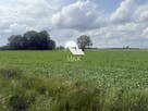 Działka rolna w Brwinowie - 2