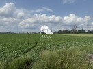 Działka rolna w Brwinowie - 3