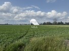 Działka na inwestycję w Brwinowie - 4