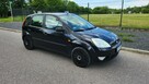 Ford Fiesta - 3