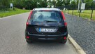 Ford Fiesta - 5