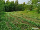 Działka piękna widokowa Glinik Średni 17 ar - 5