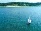 Unikatowy domek z dużą działką 900m od morza w Naturze 2000 - 2