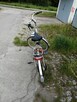 Rower damski - 3
