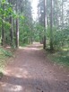 Poznam fajną kobietę - 1