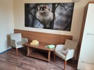 Sprzedam hotel z restauracją – Horyniec-Zdrój, podkarpackie - 12