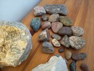 Skamieniałości i minerały - 2