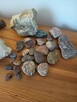 Skamieniałości i minerały - 1