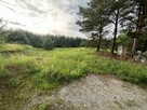 Atrakcyjna Działka 1037m2 Babki, w otoczeniu lasu - 4