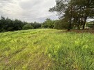 Atrakcyjna Działka 1037m2 Babki, w otoczeniu lasu - 14