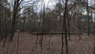 Działka budowlana Zofiówka łódzki wschodni - 3
