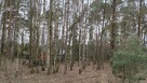 Działka budowlana Zofiówka łódzki wschodni - 7
