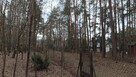 Działka budowlana Zofiówka łódzki wschodni - 10