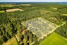 Piękne działki w rejonie jeziora Pluszne - 10