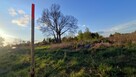 działki budowlane w Stoku Lackim - 3