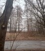 Działka 2000 m2 k Mrągowa, własny pomost, jezioro - 8